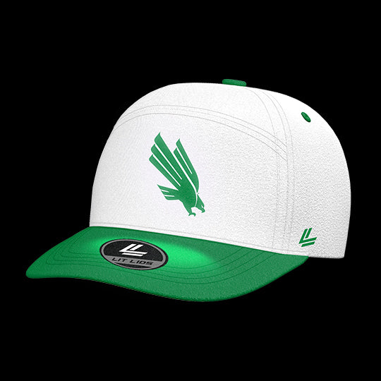 University of North Texas Eagles Varsity 6-Panel Lit Lid