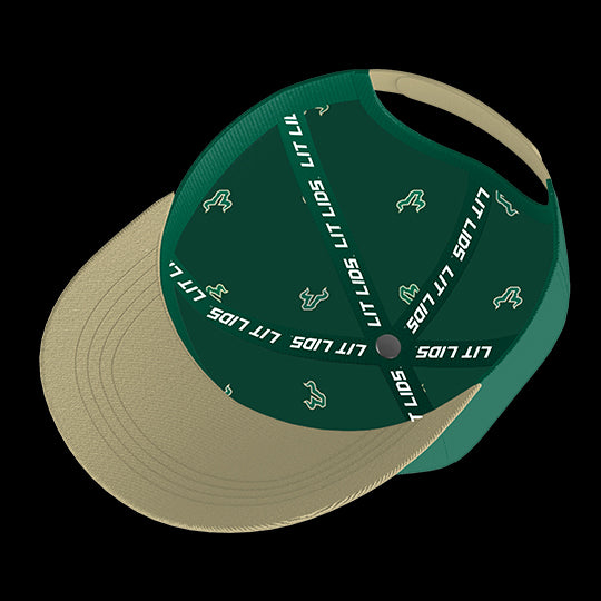 University of South Florida Bulls Varsity 6-Panel Lit Lid