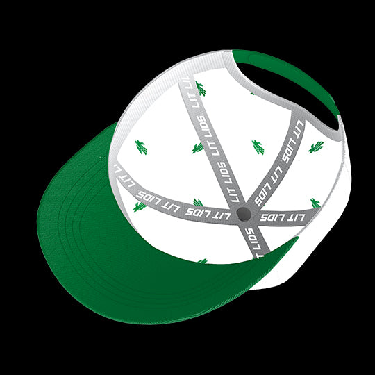 University of North Texas Eagles Varsity 6-Panel Lit Lid