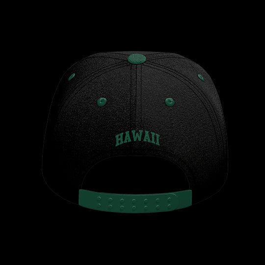 University of Hawaii Rainbow Warriors Varsity 6-Panel Lit Lid
