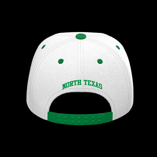 University of North Texas Eagles Varsity 6-Panel Lit Lid
