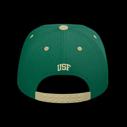 University of South Florida Bulls Varsity 6-Panel Lit Lid